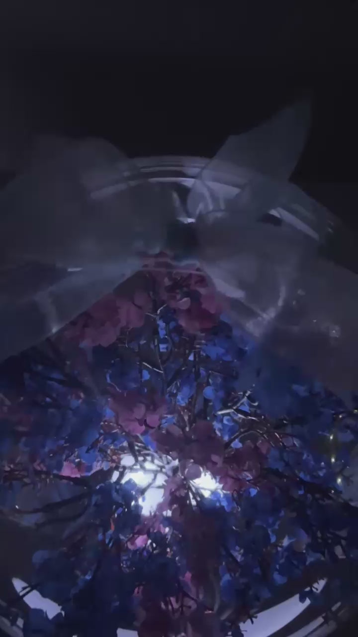 "Blossoming in Blue and Blush" LED Edition