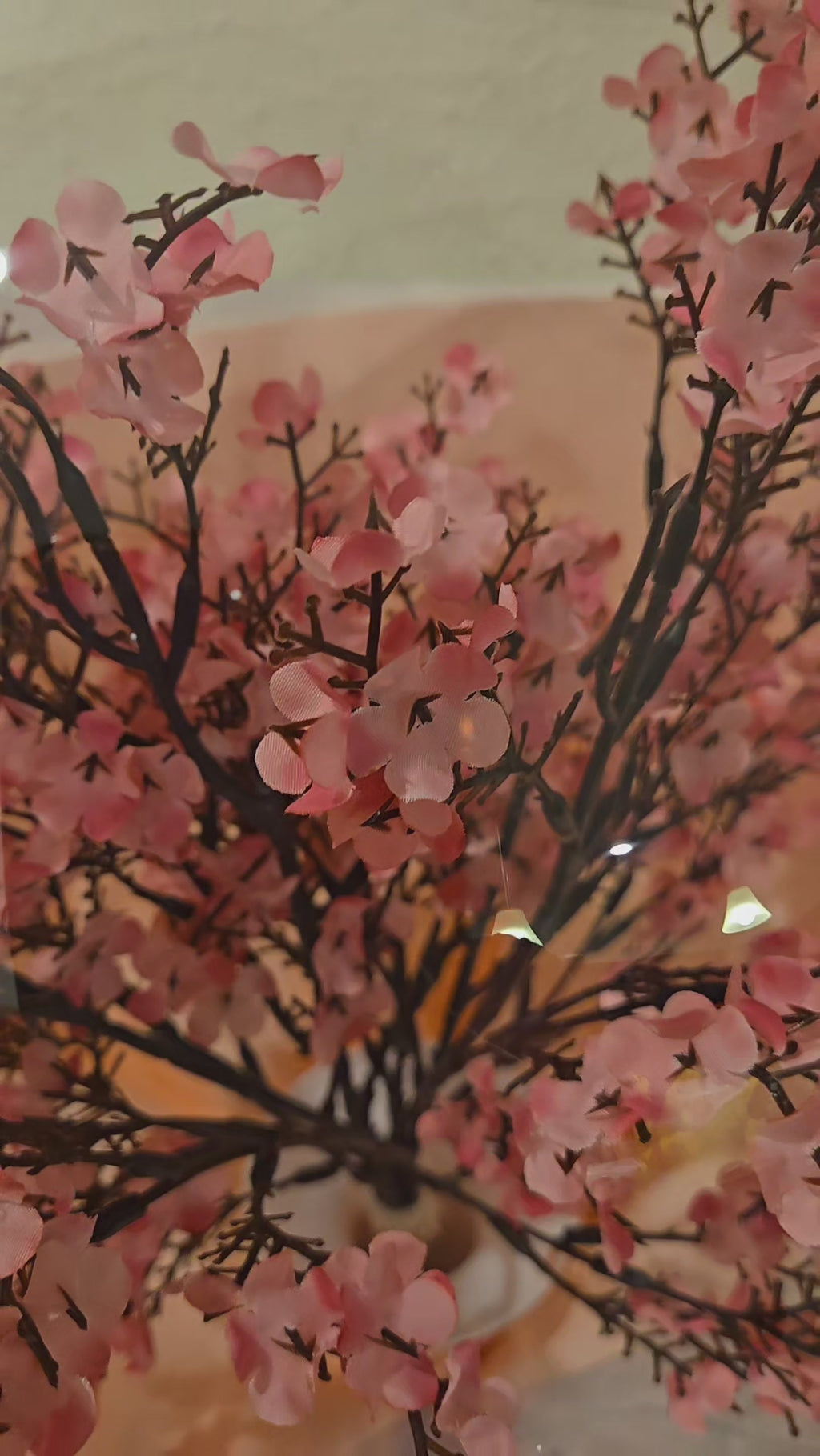 "Cherry Blossom Dream"
