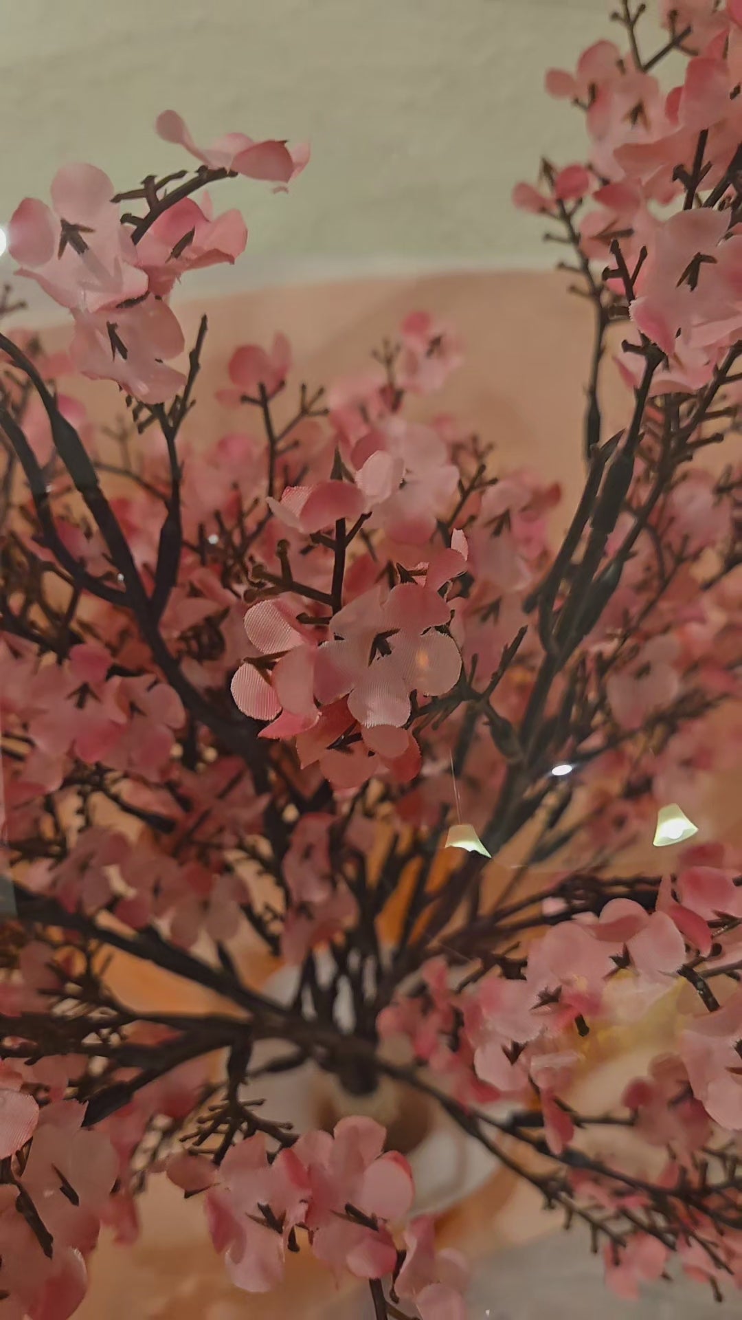 "Cherry Blossom Dream"